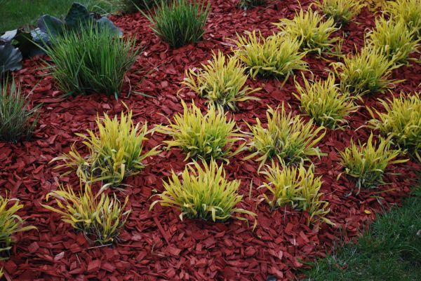 Red Mulch Installation in Salinas