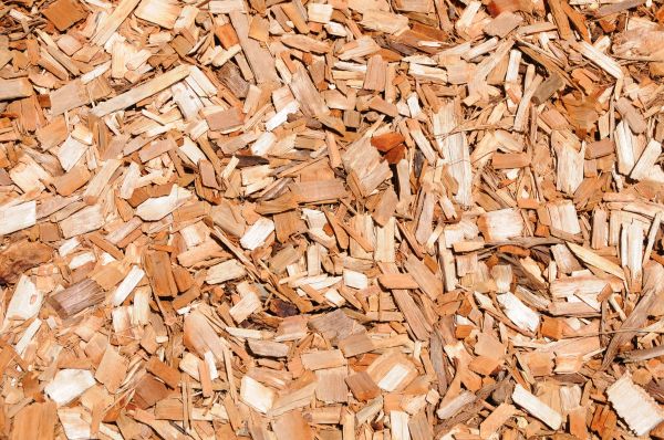 Cypress Mulch Spreading in Salinas