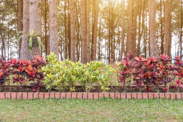 Small Garden Landscaping in Salinas