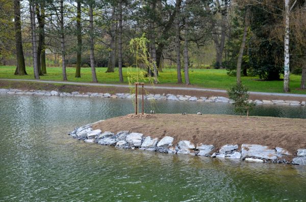 Pond Landscaping Service in Salinas