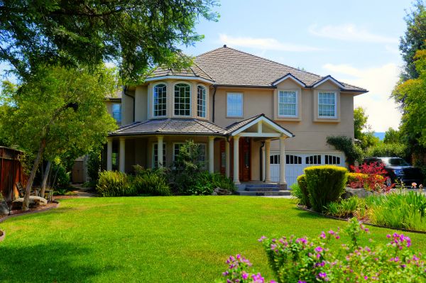 Large Yard Landscaping in Salinas