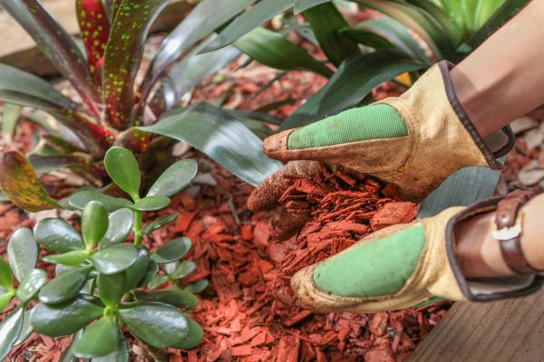 Residential Mulching in Salinas