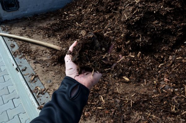 Condo Mulching in Salinas