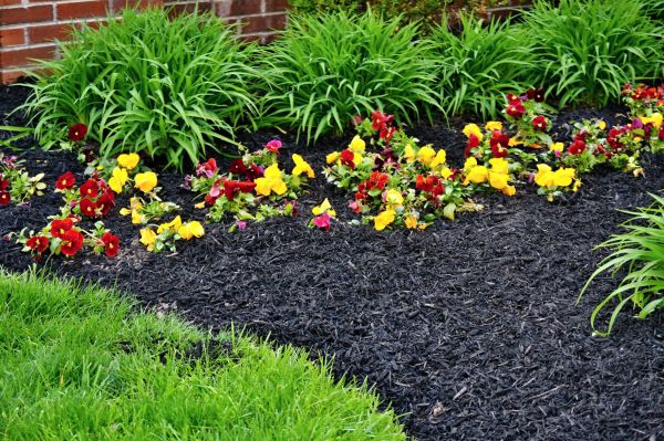 Apartment Mulching in Salinas
