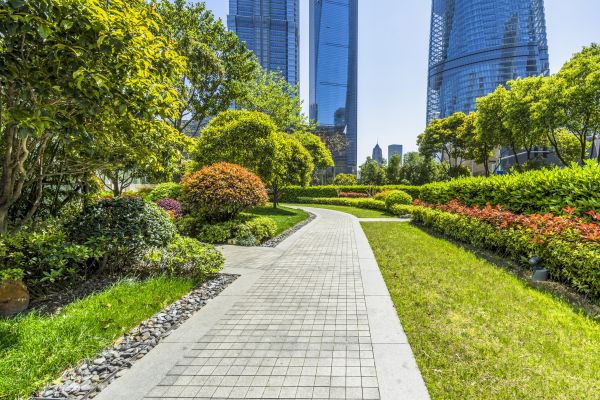 Commercial Landscaping in Salinas
