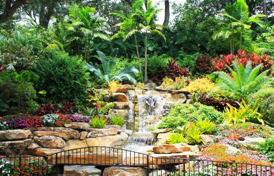 Tropical Landscaping